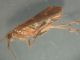 DSCN9475.JPG