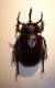 DSC01834.JPG