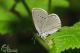 IMG_5497_10linnea.jpg