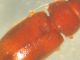 DSCN9512.JPG