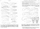 lathrobium edeago.jpg