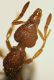 Formica3 Sasso 2.1mm.JPG