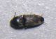 DSCN3843.JPG