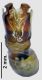 Hybalus baguenai edeago dorsal 1.jpg