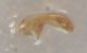 DSCN9568.JPG