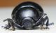 DSCN4441 - Copia.JPG