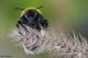 DSC_3220pbase.jpg