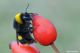 DSC_3232pbase.jpg