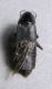 DSCN4609 - Copia.JPG