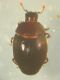 DSCN9612.JPG