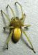DSCN5062 - Copia.JPG