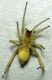 DSCN5070 - Copia.JPG