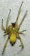 DSCN5199 - Copia.JPG