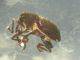 DSCN9694.JPG