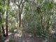 DSCN9658.JPG