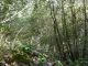 DSCN9657.JPG