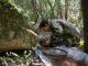 DSCN9655.JPG