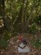 DSCN9661.JPG