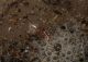 DSCN9673.JPG
