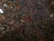 DSCN9682.JPG