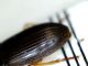 Immagine 014.jpg