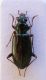 DSCN9723.JPG