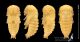 Dorcus_pupa_s.JPG