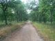 CIMG8705 (640x480).jpg