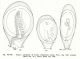 Scan671.jpg