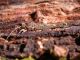 Poggio_Catino_30-I-2012_F004.JPG