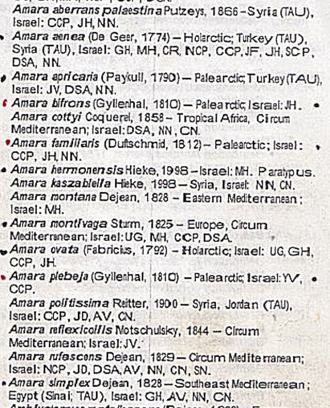 List Amara of Israel.jpg