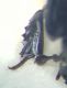BILD5764.JPG