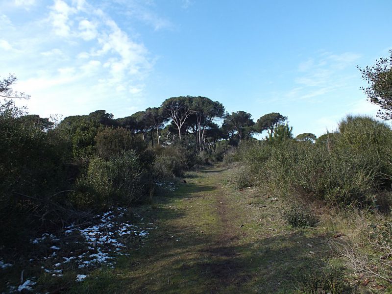 Ostia_6-II-2012_Fu029.JPG