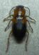 DSCN8108 - Copia.JPG