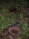 DSCN9897.JPG