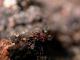 DSCN9920.JPG