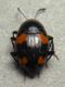DSCN8177 - Copia.JPG
