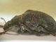 DSCN9957.JPG