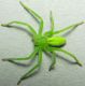 DSCN8311 - Copia.JPG
