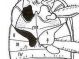 Carabid anatomy 2.jpg