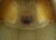 SMESud 6.III.2012 004b.jpg