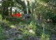 DSCN1343.jpg