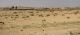 Arava_The Bedouins.jpg