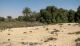 Ezuz. Arava. 09.03.2012.jpg