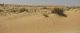 Arava _2. 09.03.2012.jpg