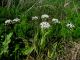 2012.03.08. Kiryat Haim.jpg