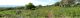Meadow. Kiryat Ata 03.2012.jpg