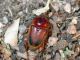 DSCN1643.jpg