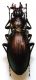purpurascens aurichalceus Kraatz, 1879.JPG