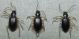 DSCN9060.JPG